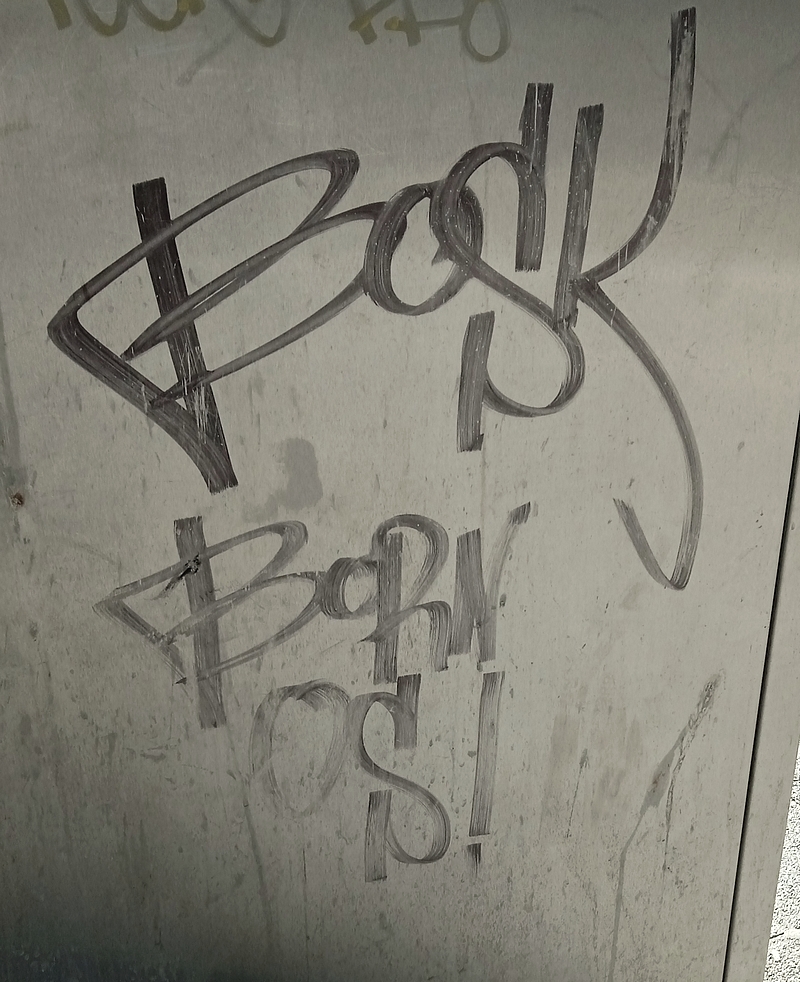 BOSK x BORN x OS!