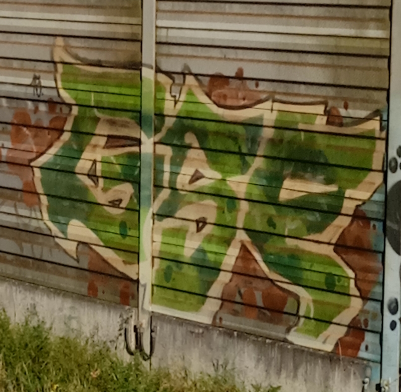 Raw GSF...