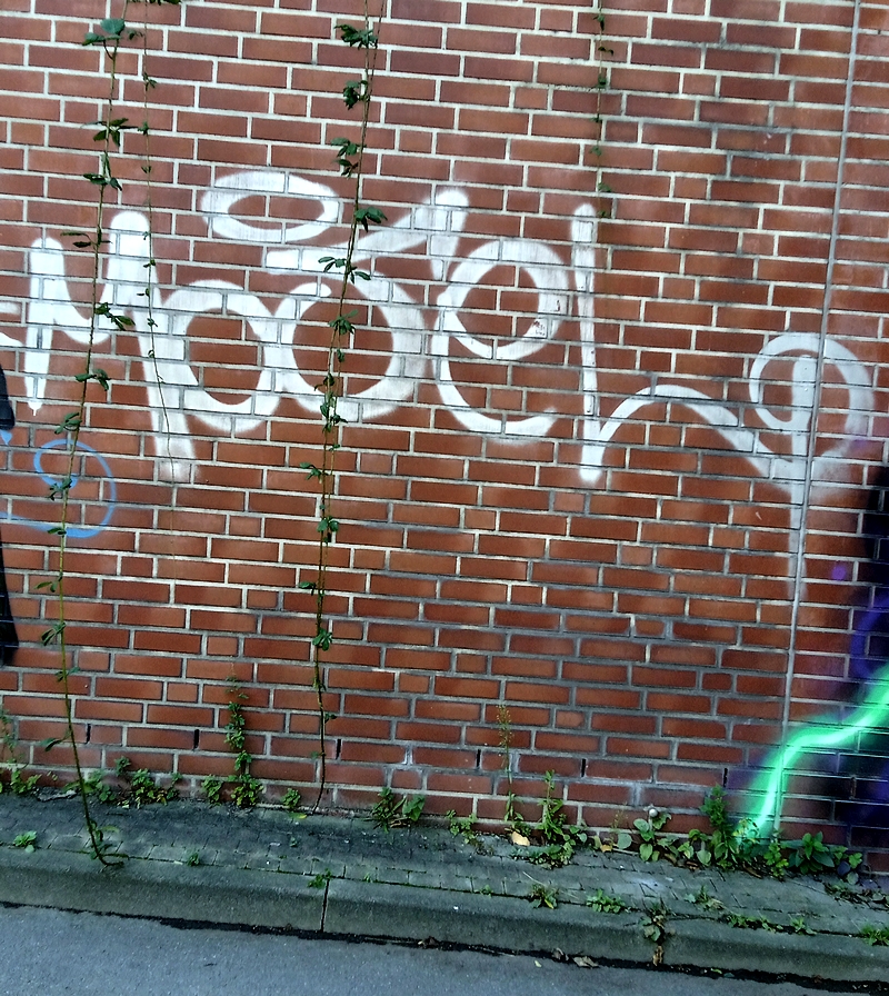 MOSEL Tag...