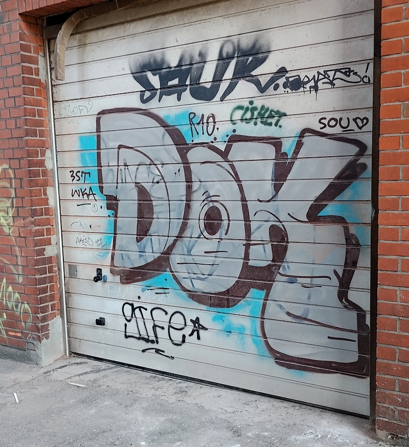 DOK x SAUR