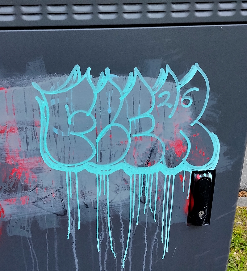FLEK ThrowUp