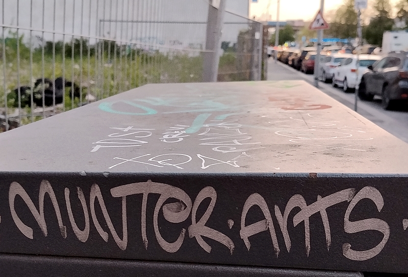 MUNTER x ANTS