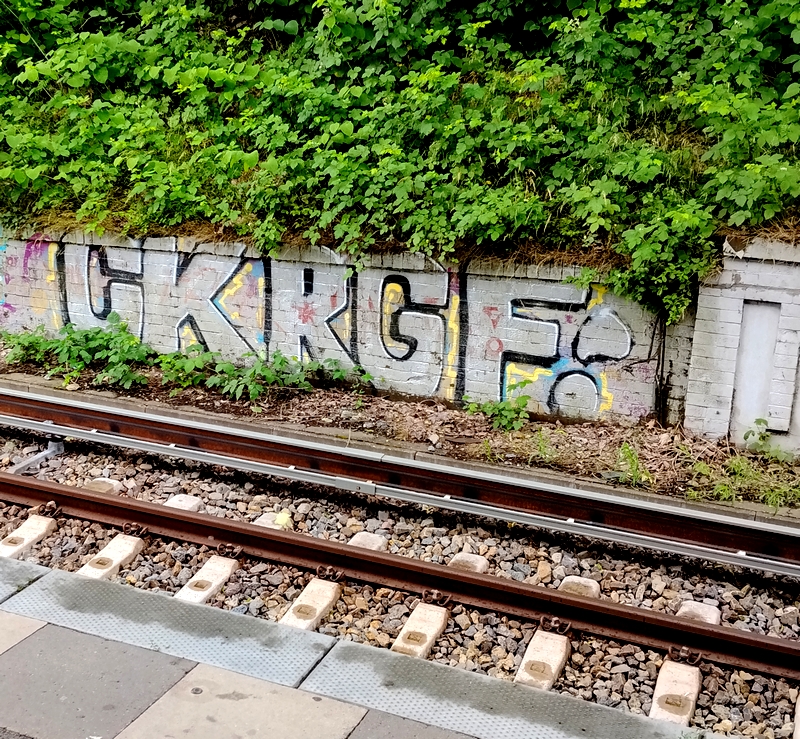 CK x RGF