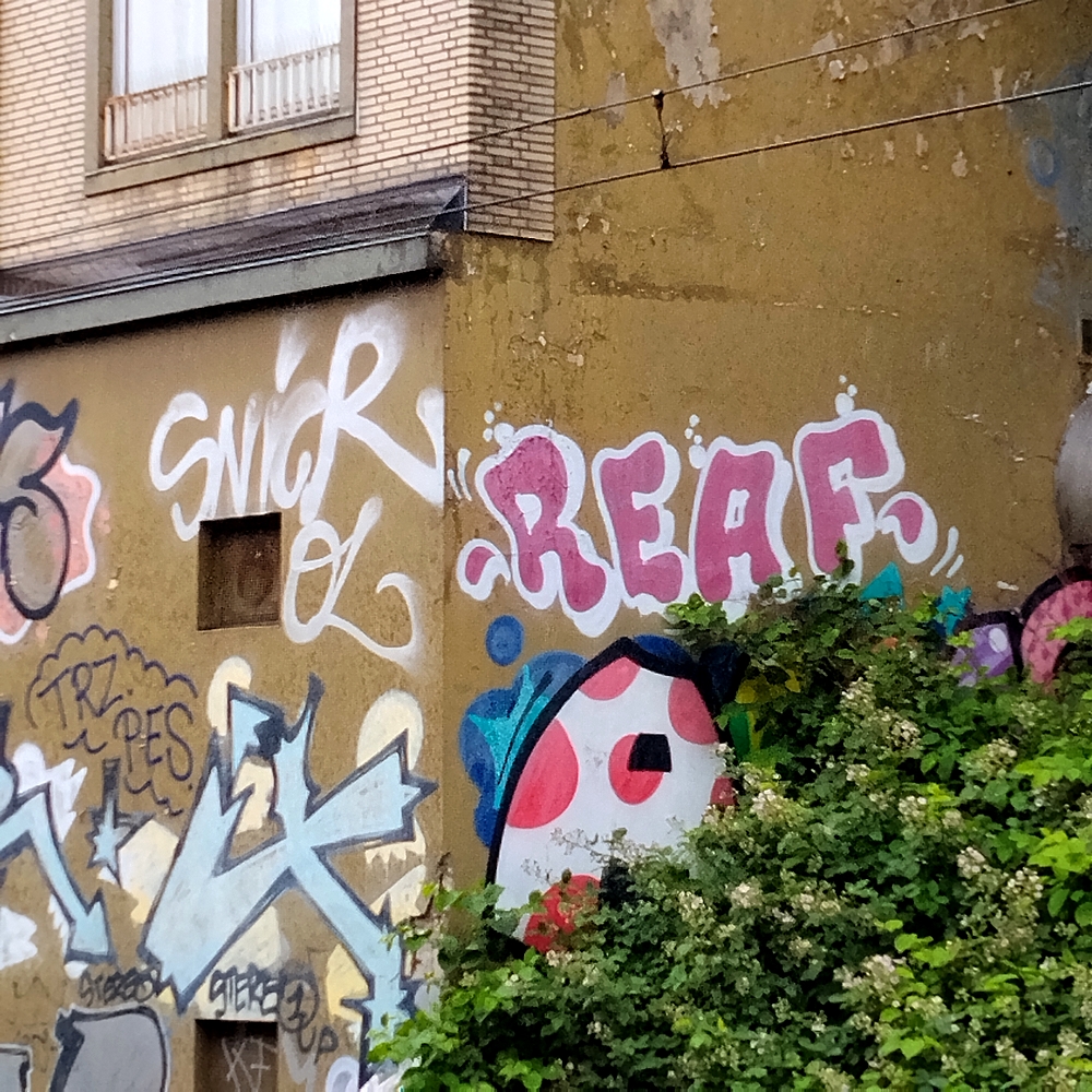 Graffiti Covered Wall...