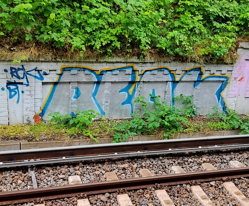 REOK