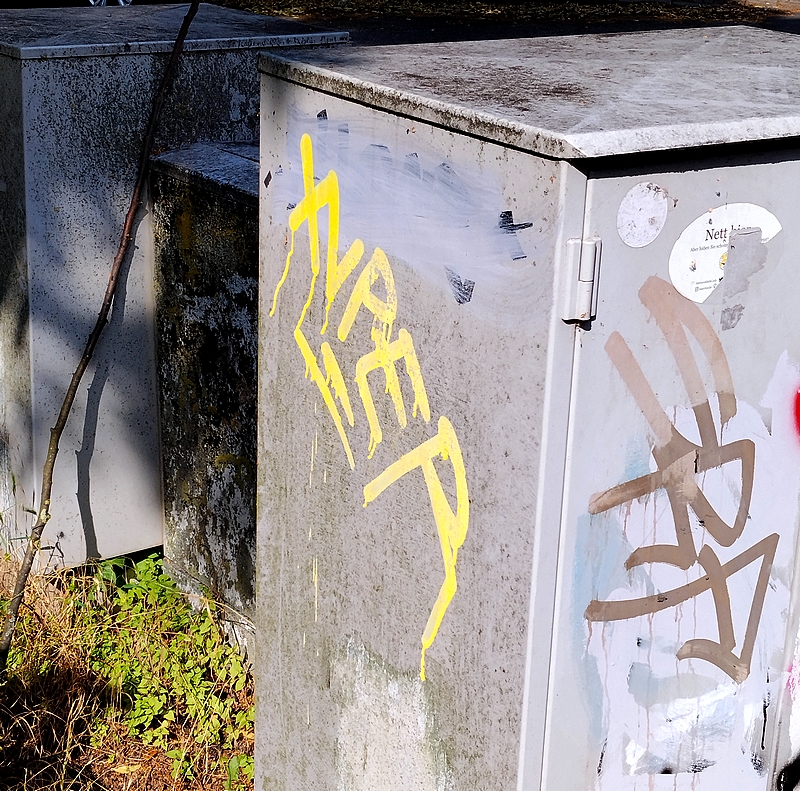 XVPER x SRF