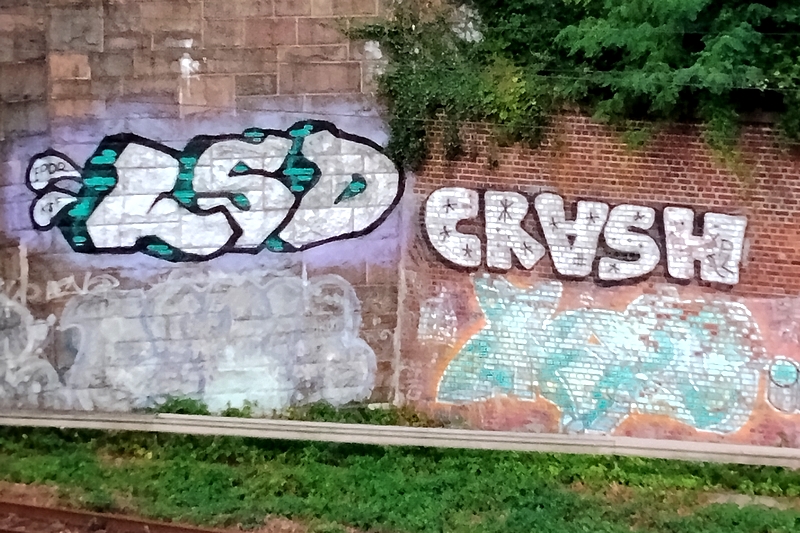 LSD x CRASH
