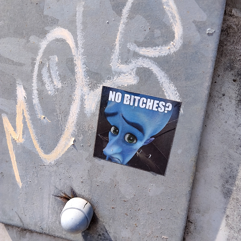 No Bitches?