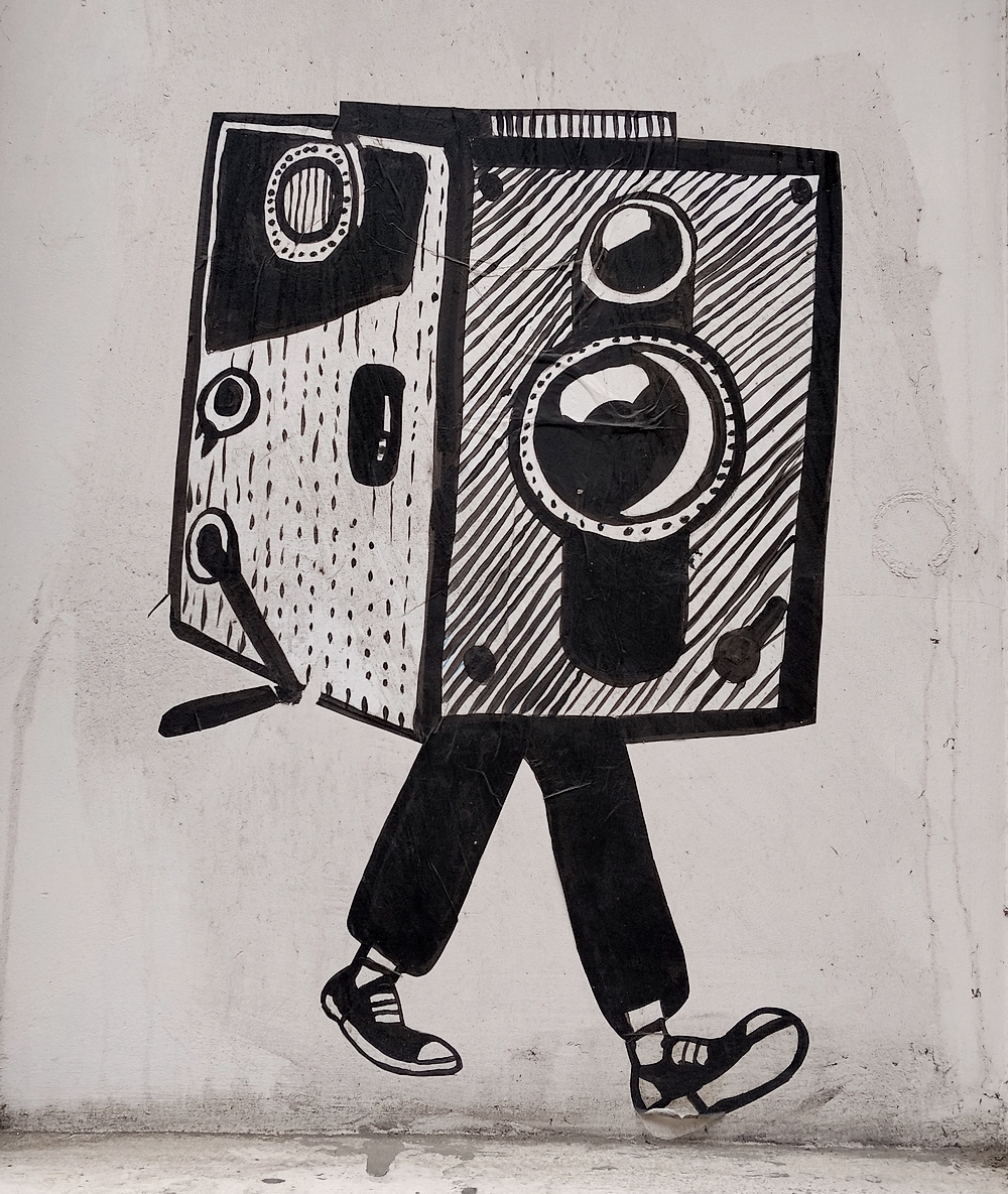 A Walking Camera
