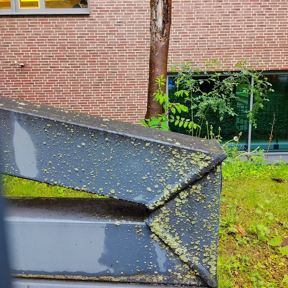 Lichen Covered Metal Structure...