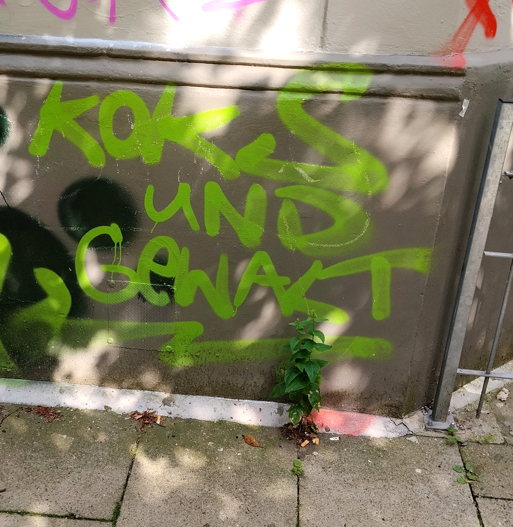 KOKS UND GEWALT
